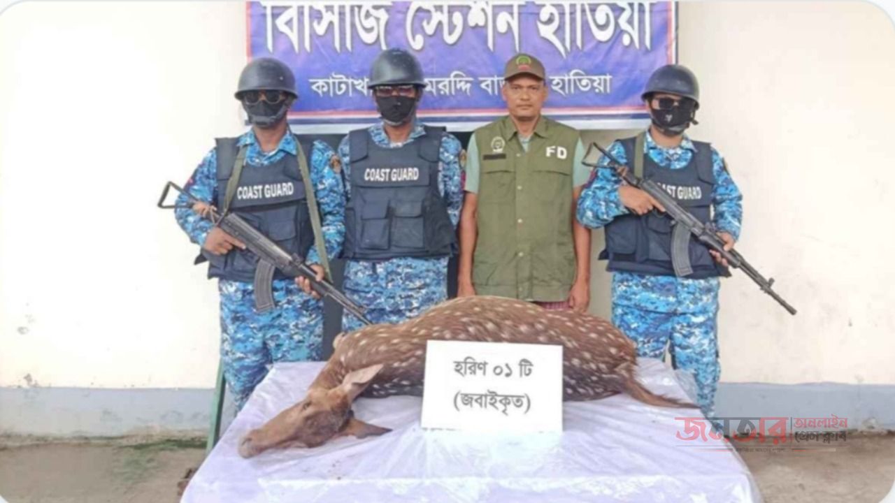 নোয়াখালীতে জবাইকৃত হরিণ উদ্ধার, আদালতের নির্দেশে মাটিচাপা