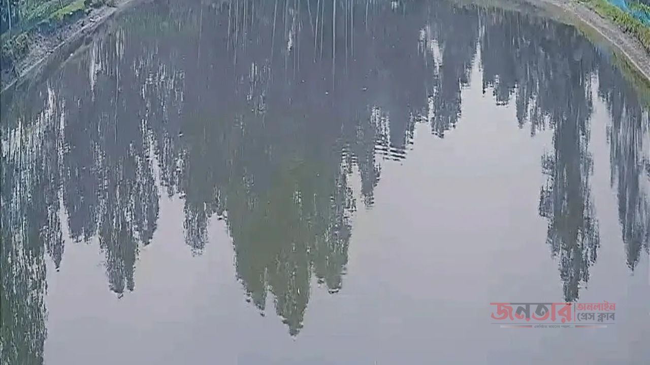 সার সংকটে লোকসানের মুখে ভূরুঙ্গামারীর মৎস্য খামারী