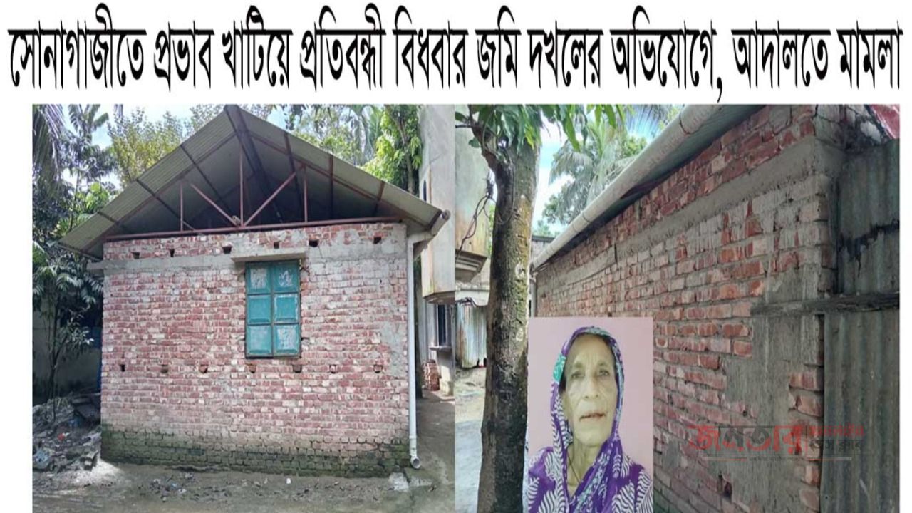 সোনাগাজীতে প্রভাব খাটিয়ে প্রতিবন্ধী বিধবার জমি দখলের অভিযোগ, আদালতে মামলা