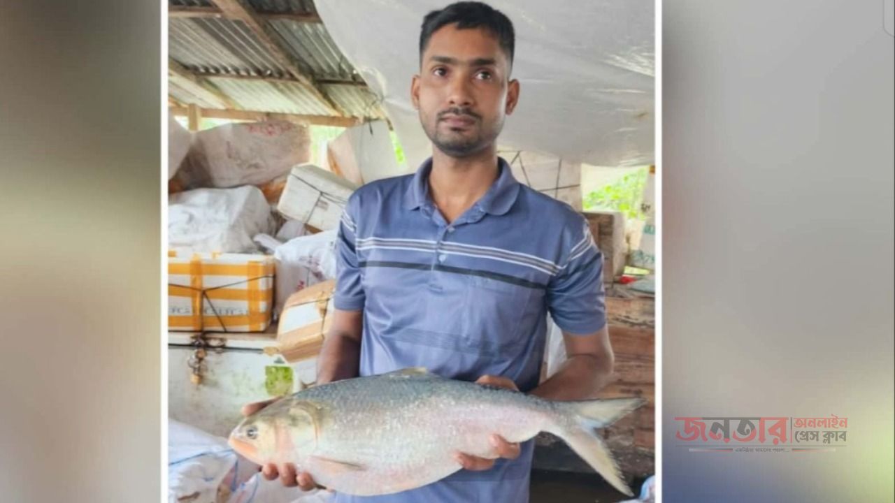 পাথরঘাটায় একটি ইলিশ মাছ ১৬ হাজার টাকায় বিক্রি