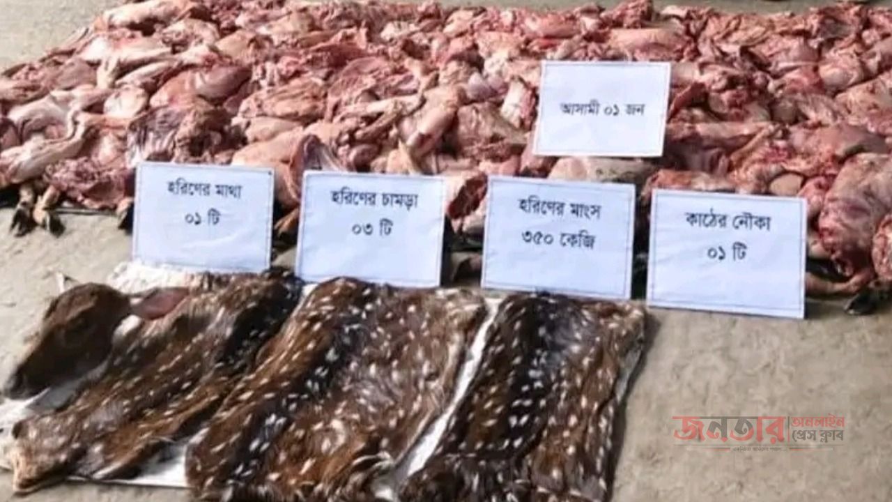 পাথরঘাটায় ৩৫০ কেজি হরিণের মাংসসহ আটক ১ জন