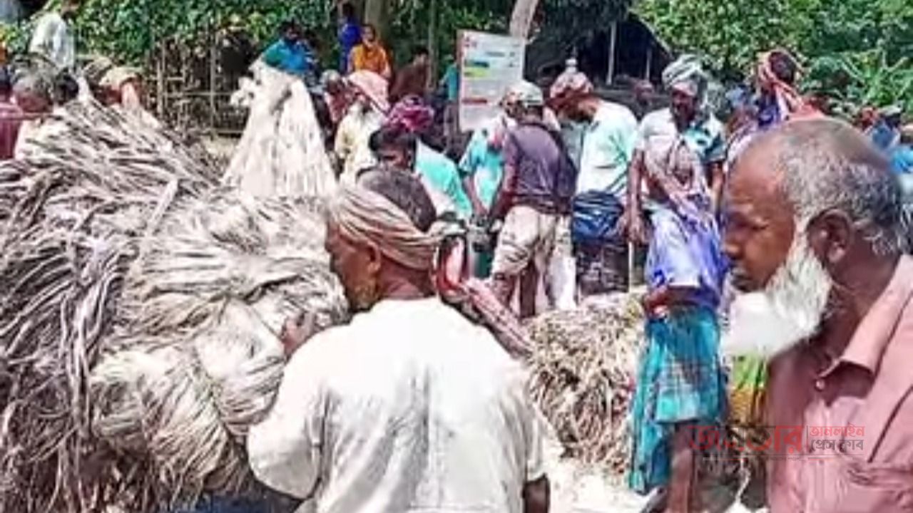 সোনালি আঁশ বেচাকেনায় জমজমাট কুড়িগ্রামের যাত্রাপুর হাট