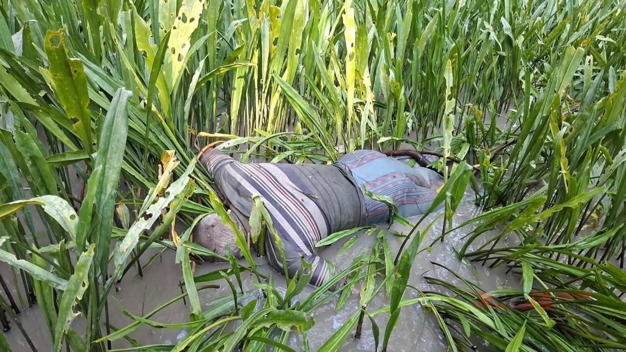 নিখোঁজের একদিন পর বিষখালি নদী থেকে বৃদ্ধির মরাদেহ উদ্ধার