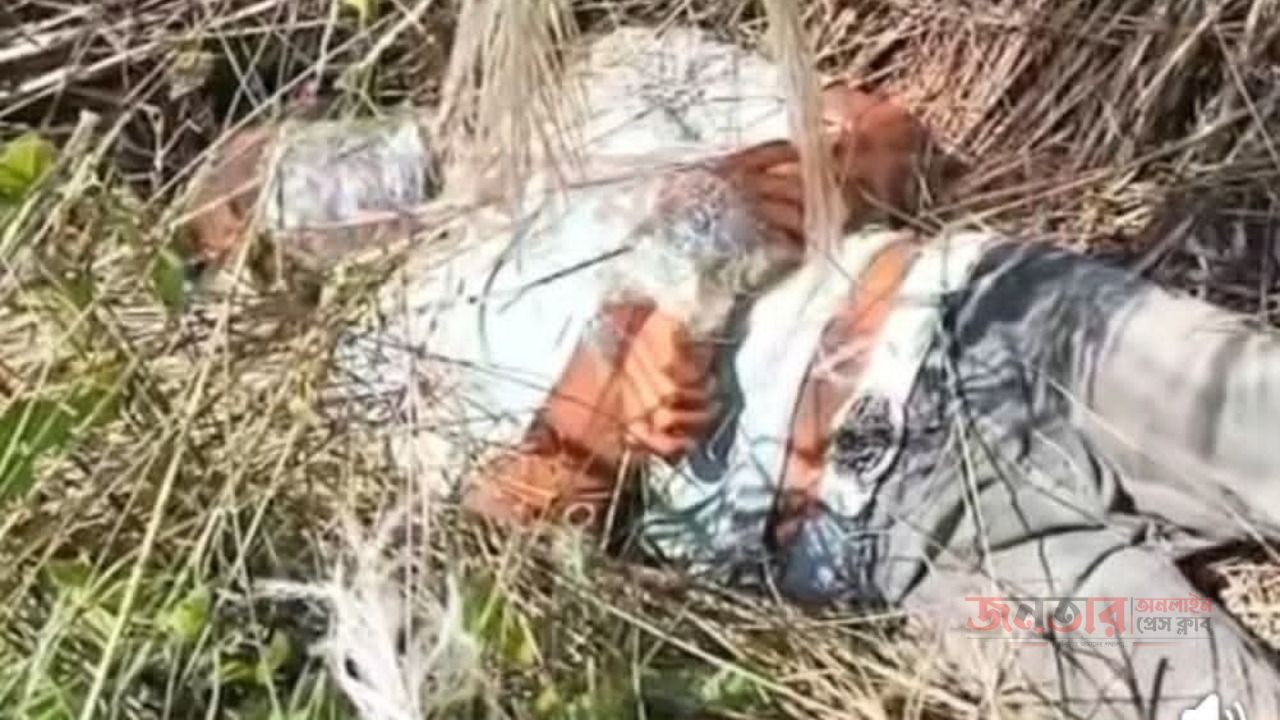 নাসিরনগরে অজ্ঞাত ব্যাক্তির লাশ উদ্ধার 