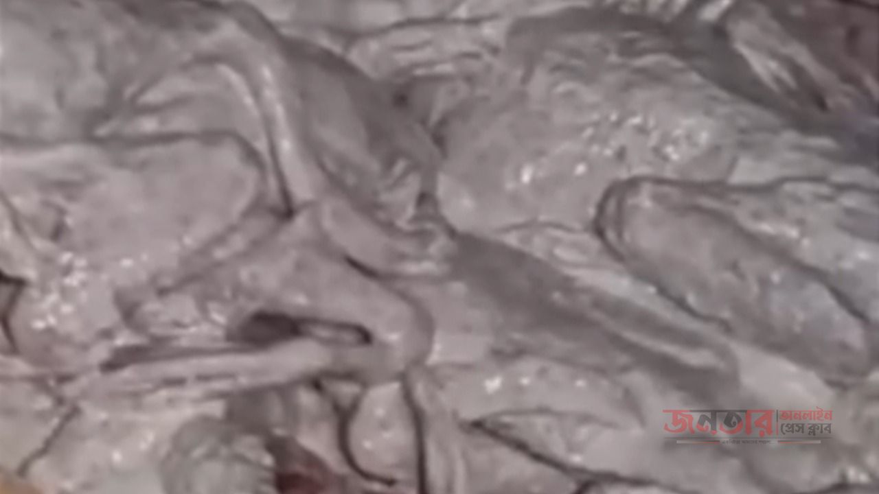 মাদারীপুরের রাজৈরে কসাইয়ের বাড়ি থেকে ২৫ মণ পঁচা হাঁসের মাংস উদ্ধার, ৫ হাজার টাকা জরিমানা