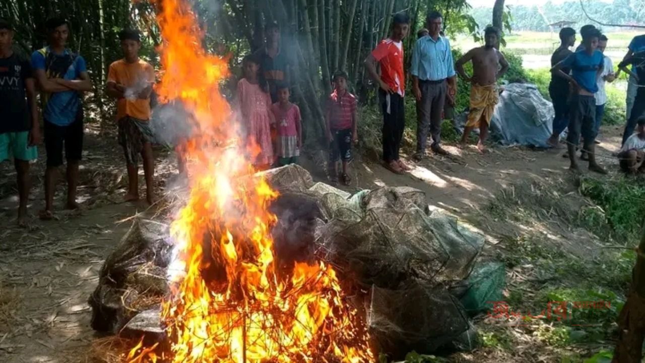 কালীগঞ্জ উপজেলায় চায়না জাল বিনষ্ট