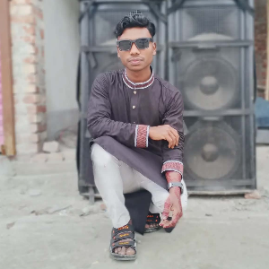 মো: আরিফুল ইসলাম 